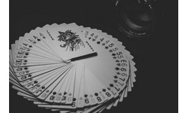 Want to experience the thrill of all rummy game