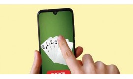 Which is the best online all rummy game?